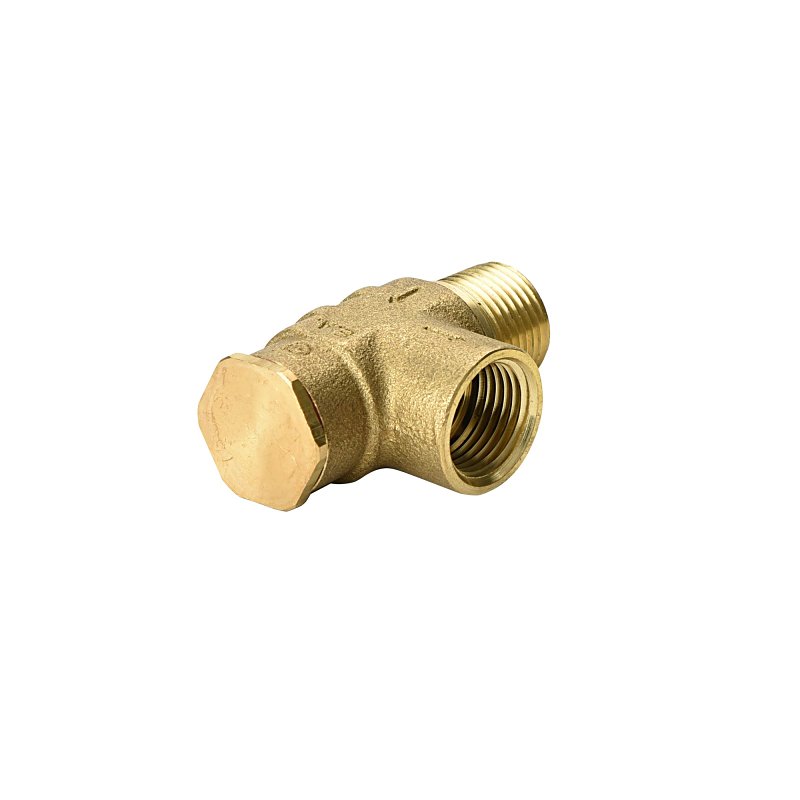 Water Source RV50NL-RM Pressure Relief Valve, 1/2 in, Male x Female, Brass Body