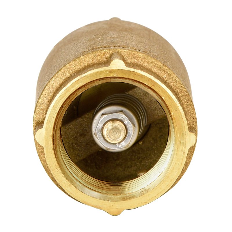 Water Source CV-100NL Check Valve, 1 in, NPT, 200 psi Pressure, Brass Body