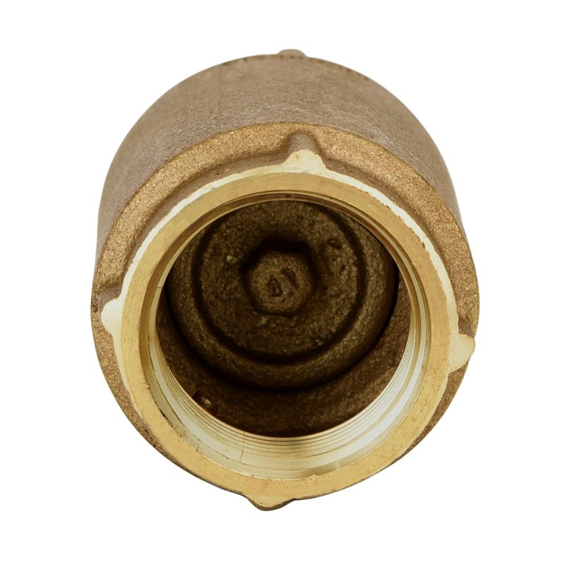 Water Source CV-100NL Check Valve, 1 in, NPT, 200 psi Pressure, Brass Body
