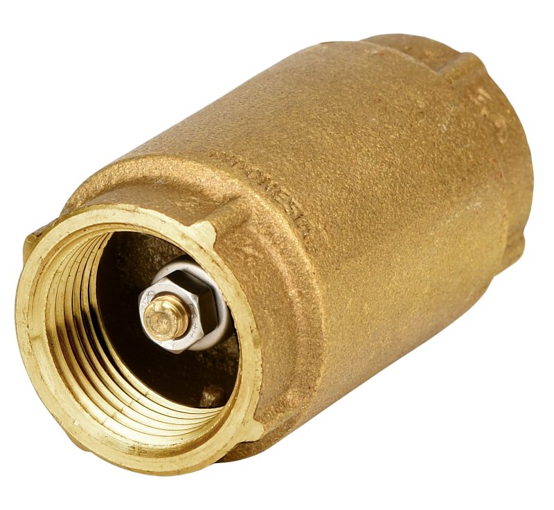 Eco-Flo EFCV100 Check Valve, 1 in, NPT, Brass Body