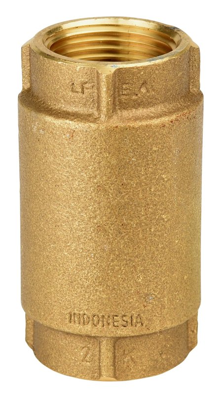 Water Source CV-100NL Check Valve, 1 in, NPT, 200 psi Pressure, Brass Body