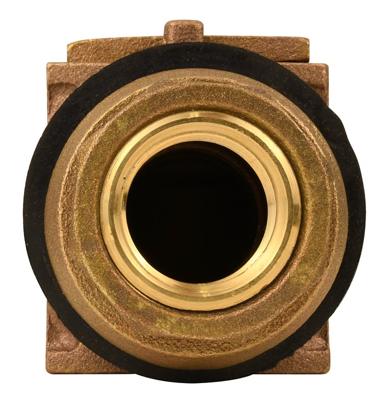 Water Source PA100NL Pitless Adapter, 1 in, FNPT, Brass