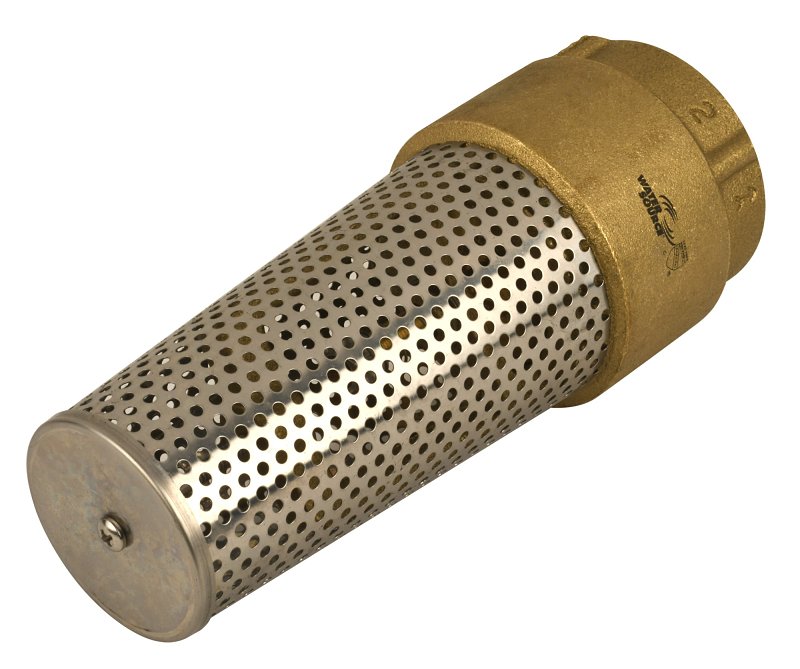 Water Source TFV200NL-RM Foot Valve, 2 in Connection, FNPT, 200 psi Pressure, Brass Body