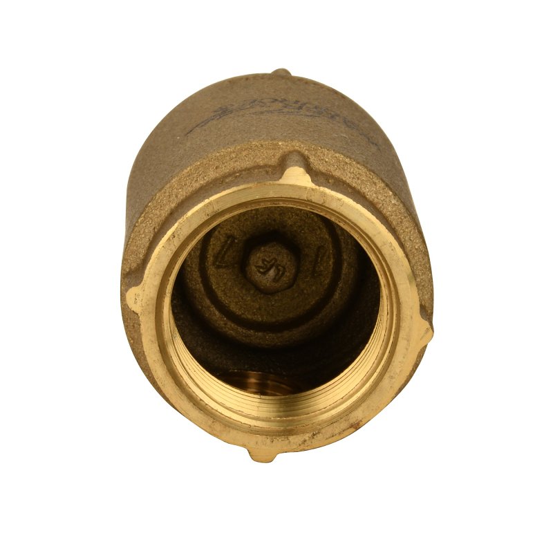 Water Source CCC-100NL Check Valve, 1 in, Brass Body
