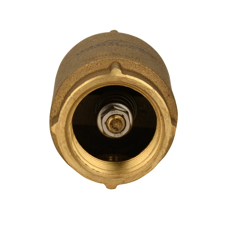 Water Source CCC-100NL Check Valve, 1 in, Brass Body