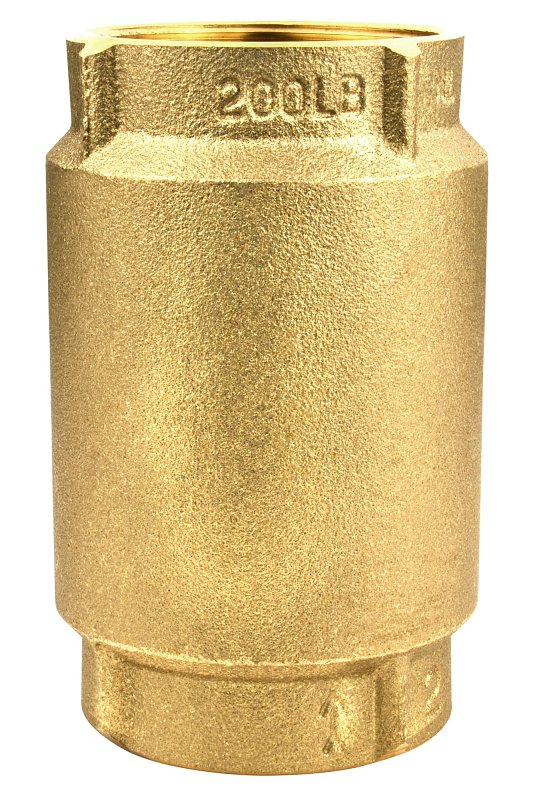 Water Source CV-200NL Check Valve, 2 in, 200 psi Pressure, Brass Body