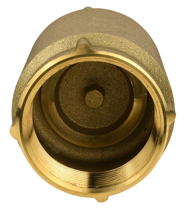 Water Source CV-200NL Check Valve, 2 in, 200 psi Pressure, Brass Body