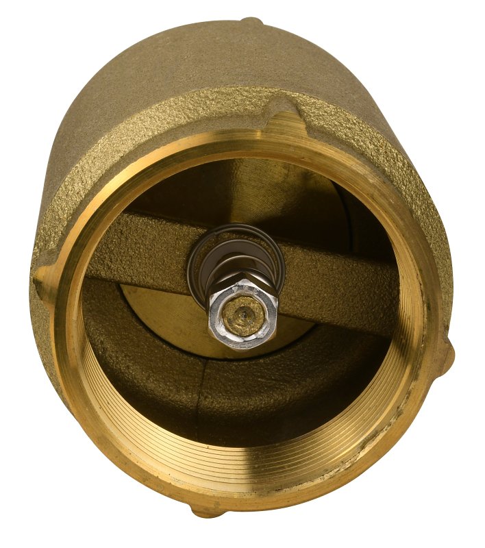 Water Source CV-200NL Check Valve, 2 in, 200 psi Pressure, Brass Body