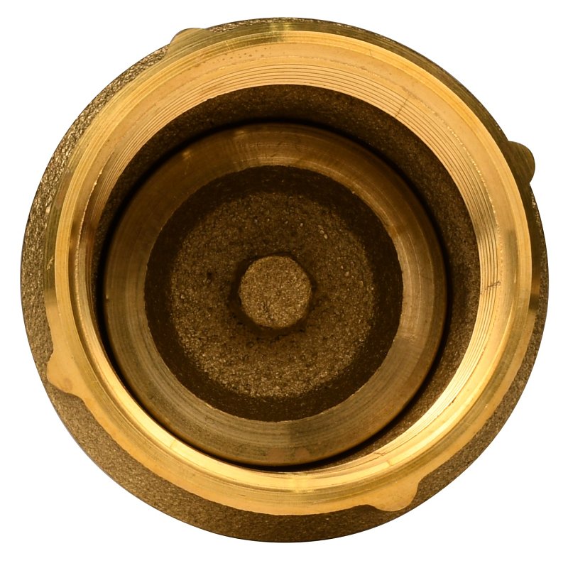 Water Source CV-150NL Check Valve, 1-1/2 in, 200 psi Pressure, Brass Body
