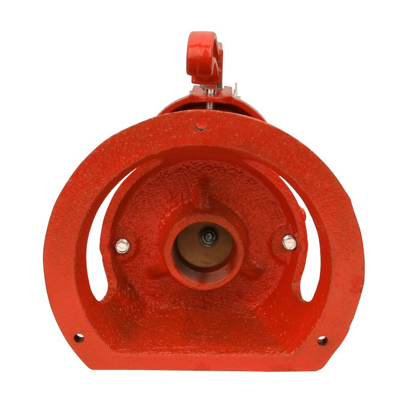 Water Source PP500 Pitcher Pump, 25 ft Max Suction Lift, Iron