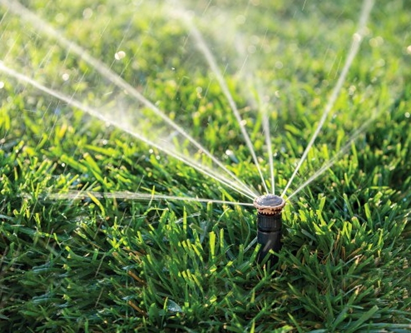 Rain Bird 12SAFPRO Mini Rotor Sprinkler, Full-Circle, 3 gpm, 1/2 in Connection, FTP, 4 in H Pop-Up, 13 to 18 ft