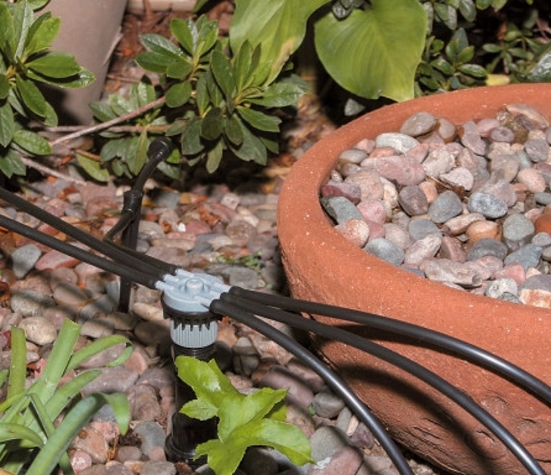 Rain Bird MANIFRE6S Free-Flow Manifold, 1/2 x 1/4 in FPT x Barb, 6 -Port