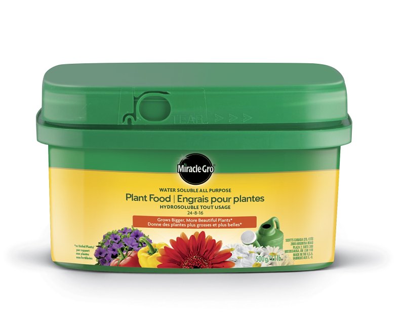 Miracle-Gro 2756810 All-Purpose Plant Food, 1.1 lb Bucket, Solid, 24-8-16 N-P-K Ratio