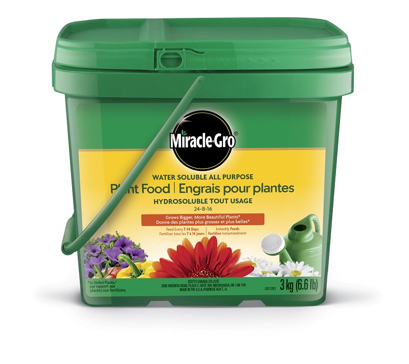 Miracle-Gro 210218 All Purpose Water Soluble Plant Food, 3.42 kg, Pail, 276 sq-m, Medium Blue