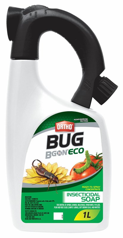 Ortho Bug B Gon ECO 4723106 Concentrate Insecticidal Soap, Liquid, Spray Application, Garden, Ornamental, 1 L Bottle