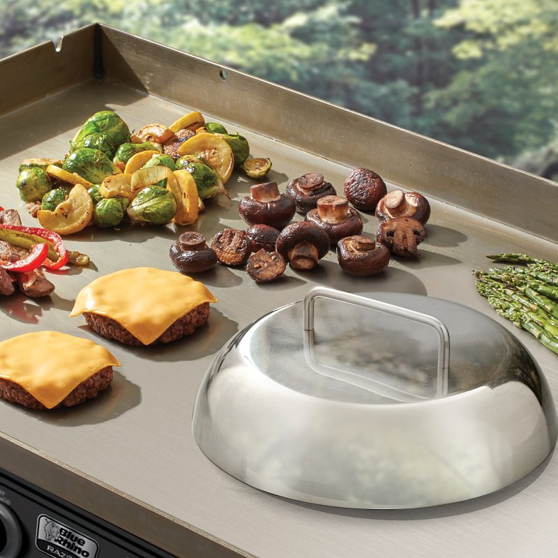 Mr. BAR-B-Q 40321Y Basting Cover, Stainless Steel