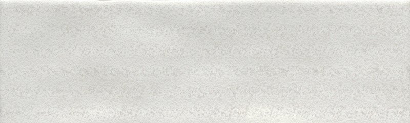 Emser Tile Passion Series W32PASSBC0308P28 Porcelain Tile, 8 in L Tile, 3 in W Tile, Pressed Edge, Rectangular Pattern