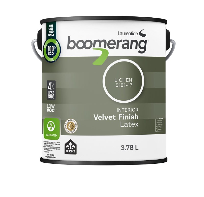 Boomerang Interior Paint, Latex, Velvet, Lichen, 3.78 L
