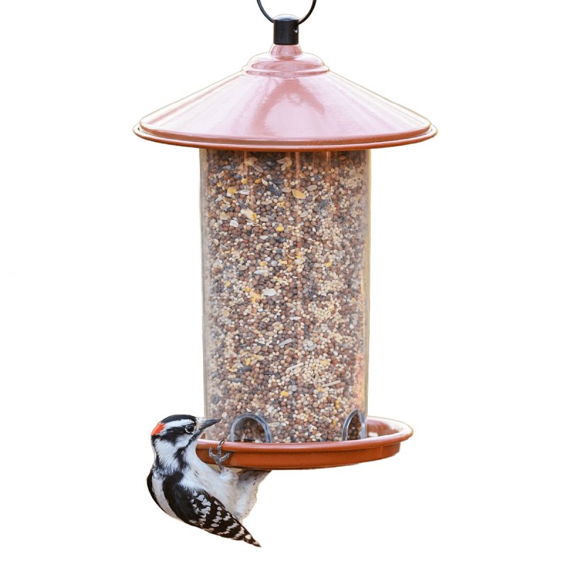 15529 Wild Bird Food, 20 lb, Ingredients: Grain Products, White Proso Millet, Black Oil Sunflower Seeds