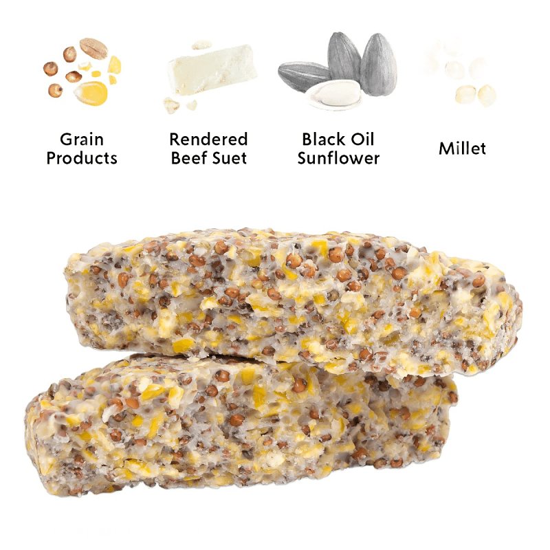 Audubon Park 13882 High Energy Suet, 11 oz, 10 Pack