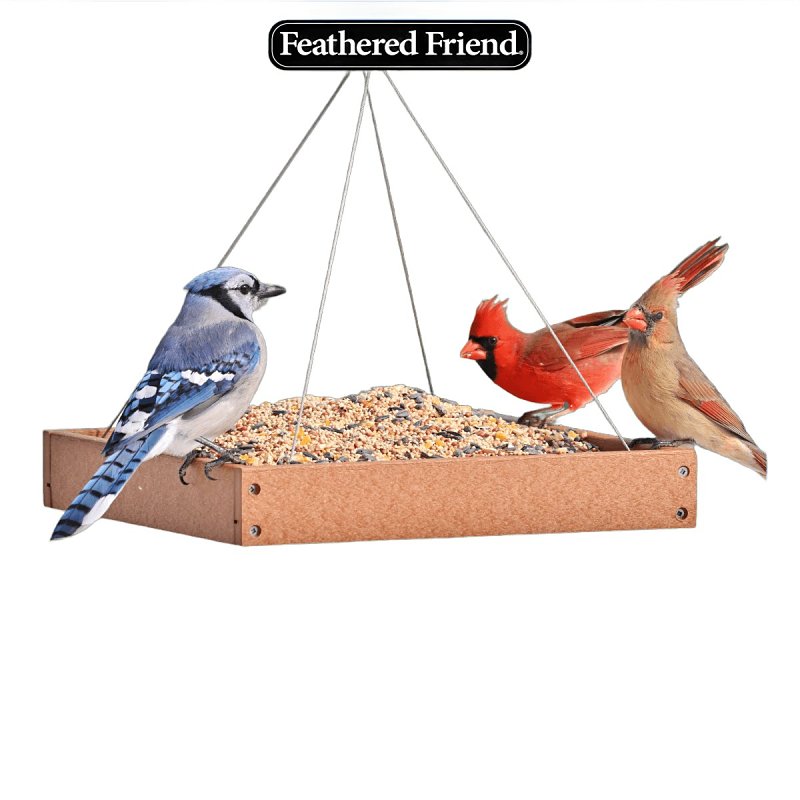 image 4 of 7