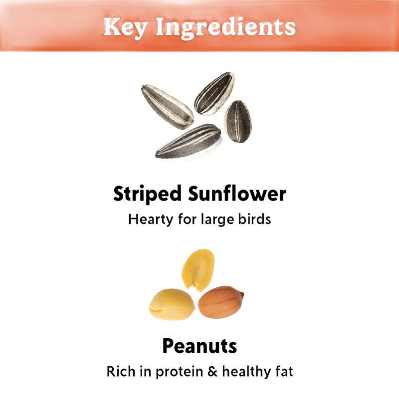 Feathered Friend Birdsnack 14406 Sunflower Seed Wild Bird Food, 40 lb, Blended, Bag