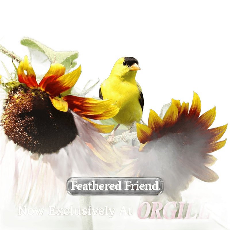 Feathered Friend Birdsnack 14406 Sunflower Seed Wild Bird Food, 40 lb, Blended, Bag