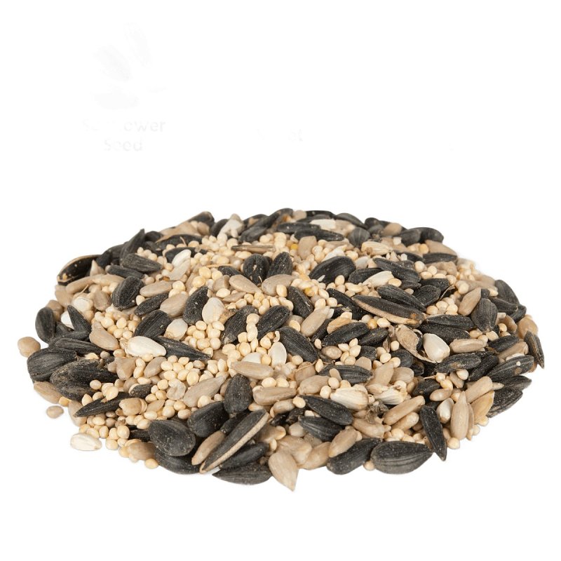 Feathered Friend 14398 Flyers' Choice, Seed, 5 lb Bag