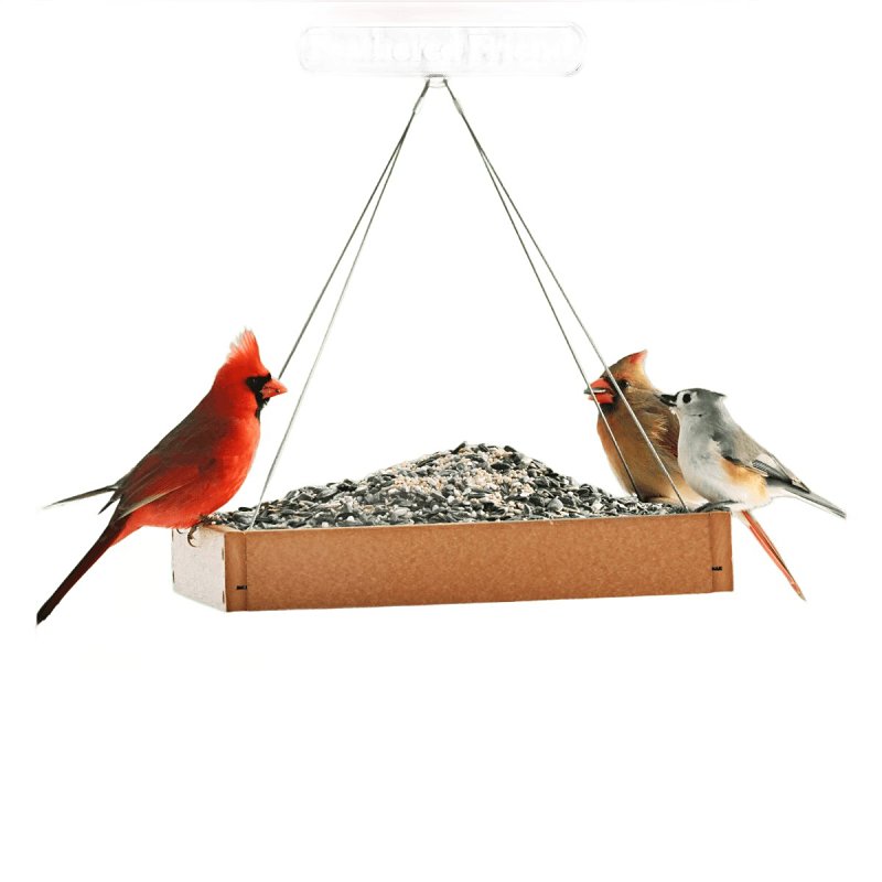 Feathered Friend 14407 Flyers' Choice, 40 lb