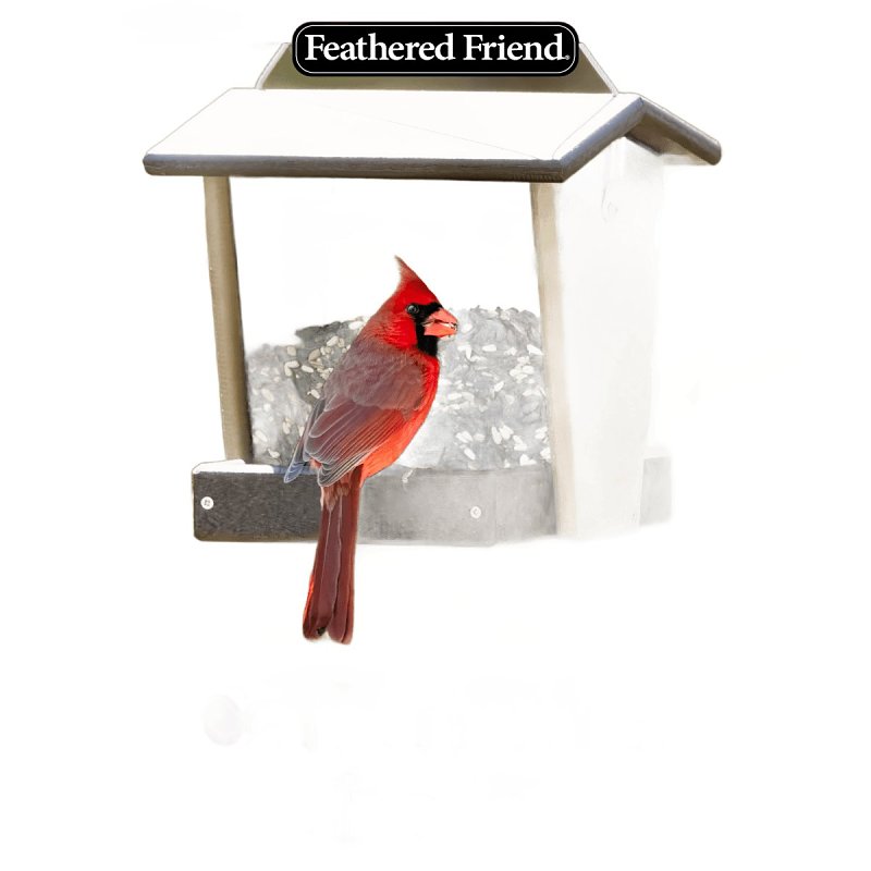 Feathered Friend 14395 Cardinals' Choice, 16 lb