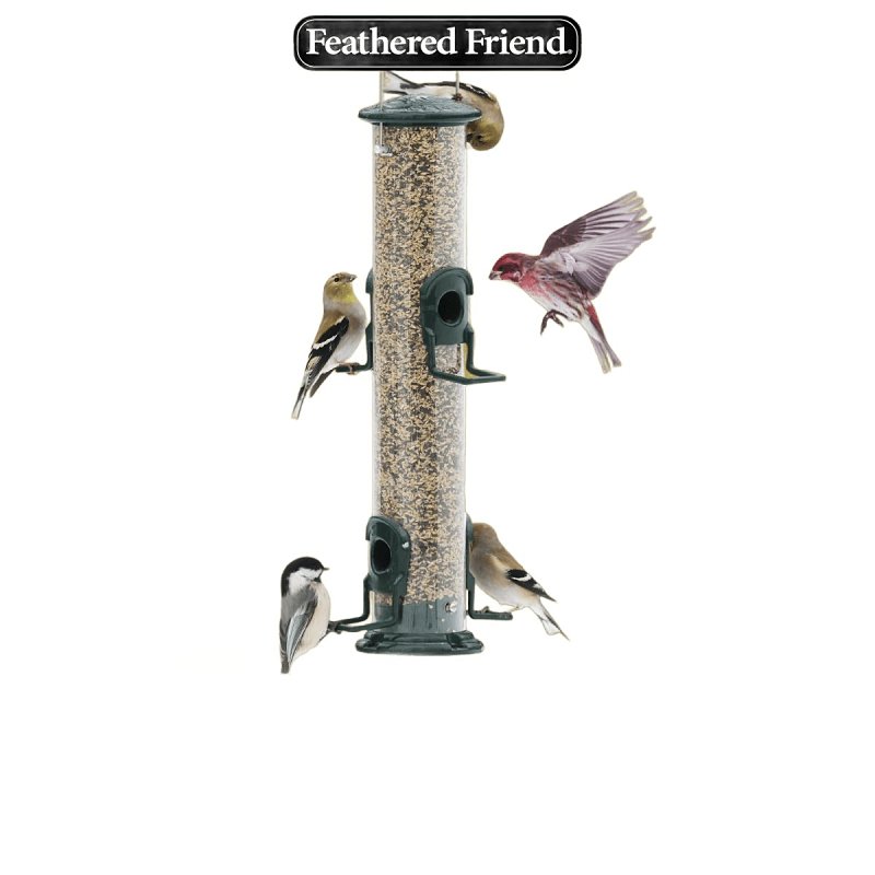 Feathered Friend Finch Delight 14412 Sunflower Kernel Wild Bird Food, 16 lb, Blended, Bag