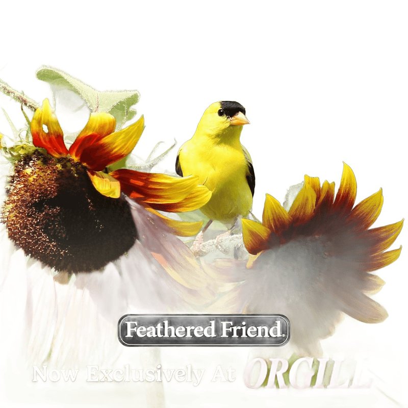 Feathered Friend Finch Delight 14412 Sunflower Kernel Wild Bird Food, 16 lb, Blended, Bag