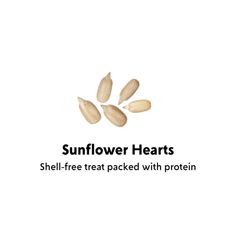 Feathered Friend 14403 Sunflower Hearts, 5 lb Bag