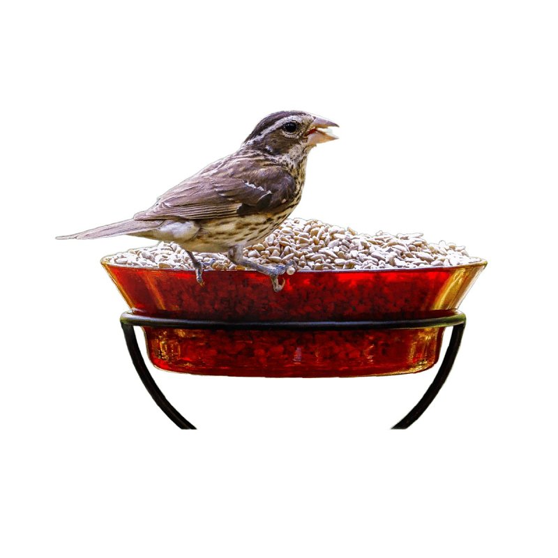 Feathered Friend 14415 Sunflower Hearts, 40 lb Bag