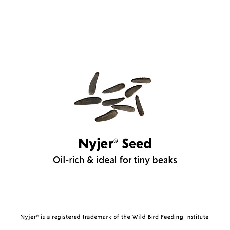 Feathered Friend Nyjer Seed 14401 Guizotia Abyssinica Niger Seed Wild Bird Food, 5 lb, Straight, Seed, Bag