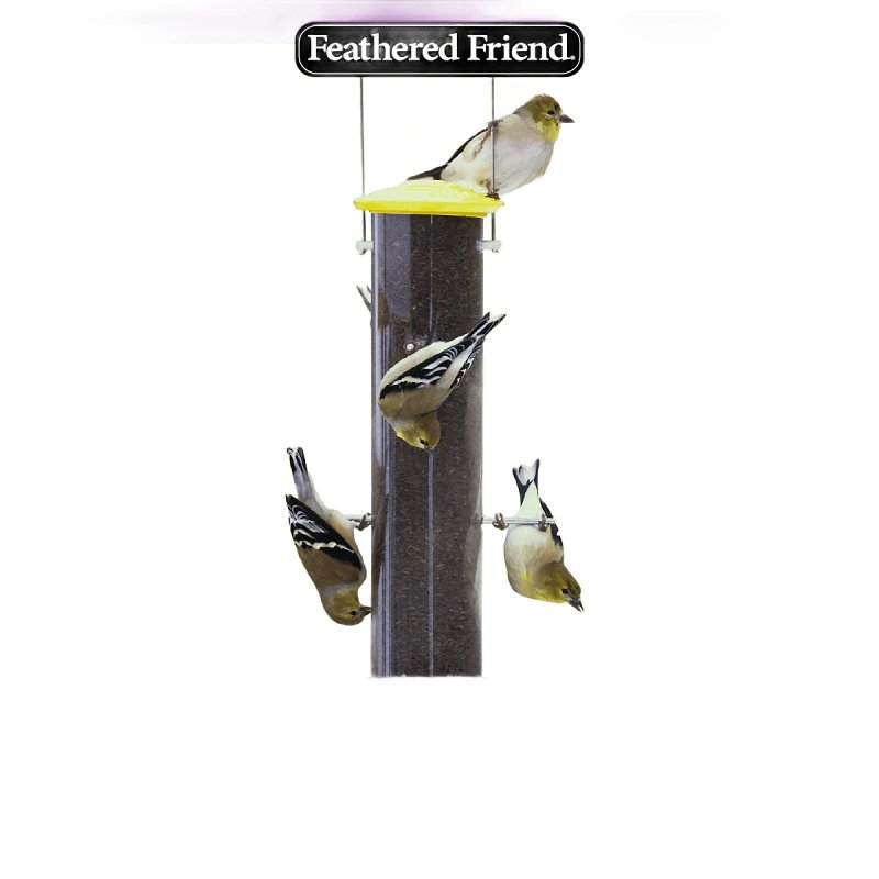 Feathered Friend Nyjer Seed 14401 Guizotia Abyssinica Niger Seed Wild Bird Food, 5 lb, Straight, Seed, Bag