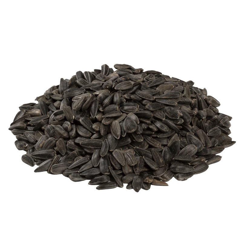 Feathered Friend 14422 Black Oil Sunflower Seed, 40 lb Bag