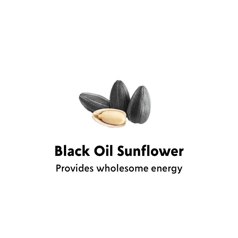 Feathered Friend 14422 Black Oil Sunflower Seed, 40 lb Bag