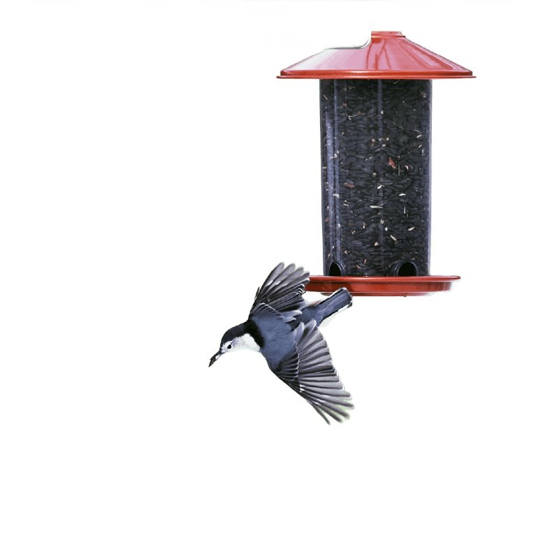 Feathered Friend 14422 Black Oil Sunflower Seed, 40 lb Bag