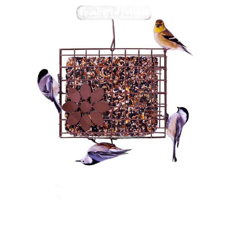 Audubon Park 14362 Wild Bird Seed Cake, 2 lb Bag