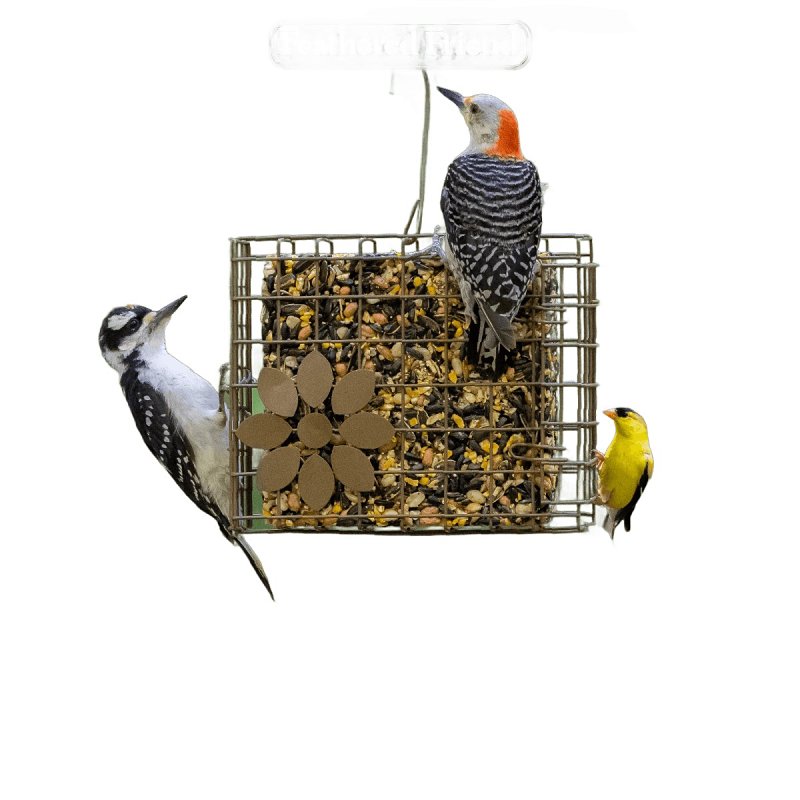 Audubon Park 14356 Woodpecker Seed Cake, 2 lb Bag