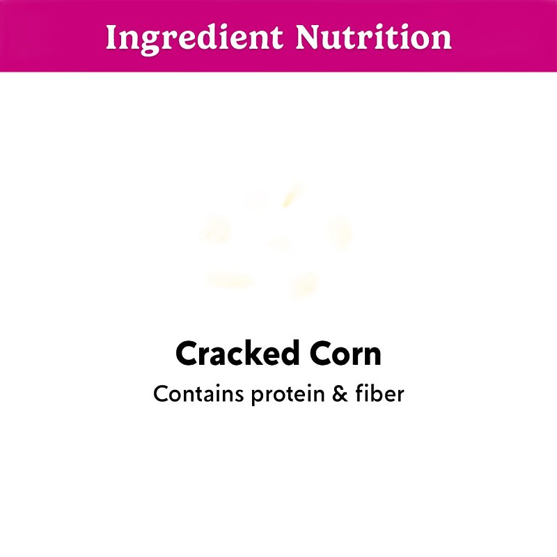 Feathered Friend 14366 Cracked Corn Wild Bird Food, 5 lb Bag, Attracts: Birds, Jay, Quail, Sparrow