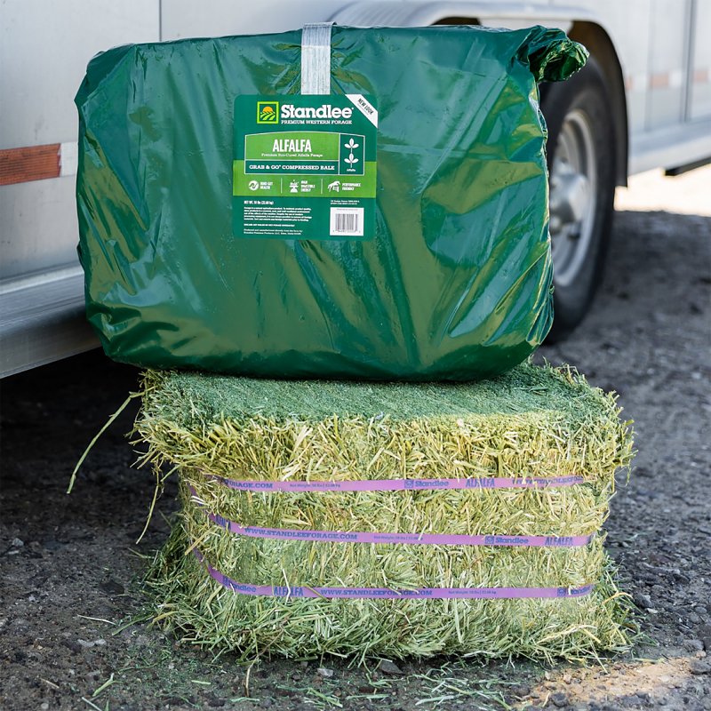 Standlee Premium Alfalfa 1100-20021-0-0 Horse Supplement, Compressed Bale