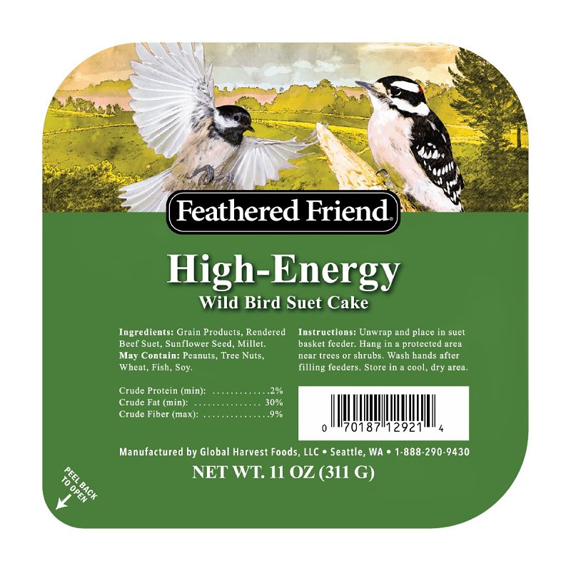 Audubon Park 13065 High Energy Suet, 11 oz
