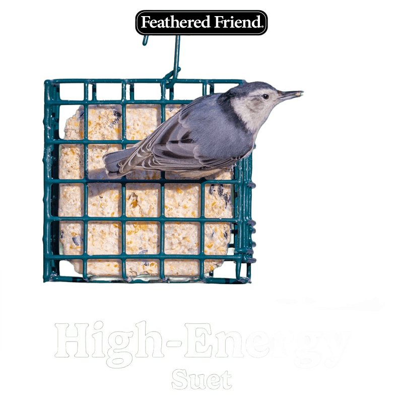 Audubon Park 13065 High Energy Suet, 11 oz