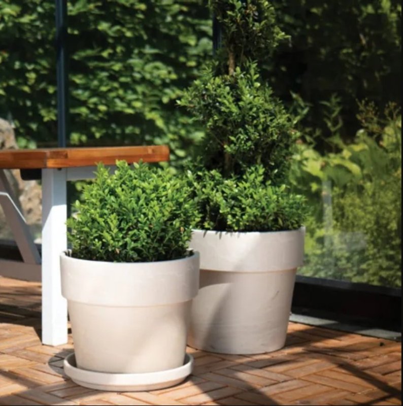 Border Concepts 805564 Pot, 11-1/2 in Dia, 9-3/4 in H, Calima Design, Granite Clay, Terracotta