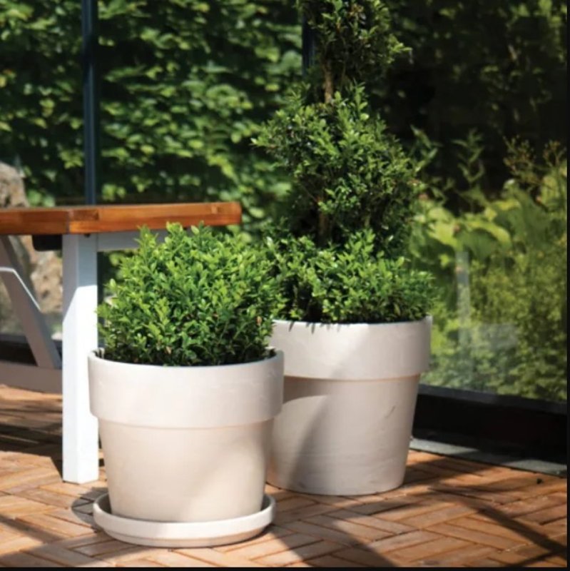 Border Concepts 805561 Pot, 7-3/4 in Dia, 6-3/4 in H, Granite Clay, Terracotta