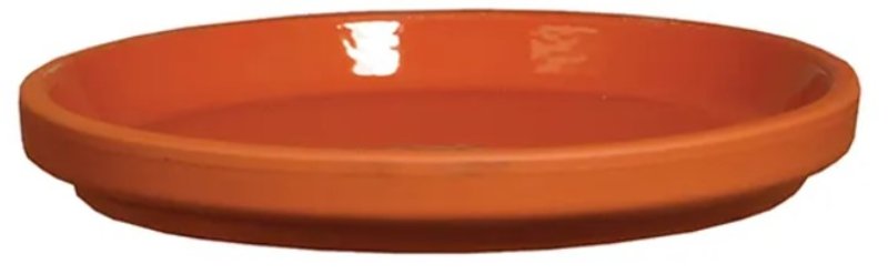 Border Concepts 801687 German Inner Glazed Saucer, 5 in Dia, Clay, Red