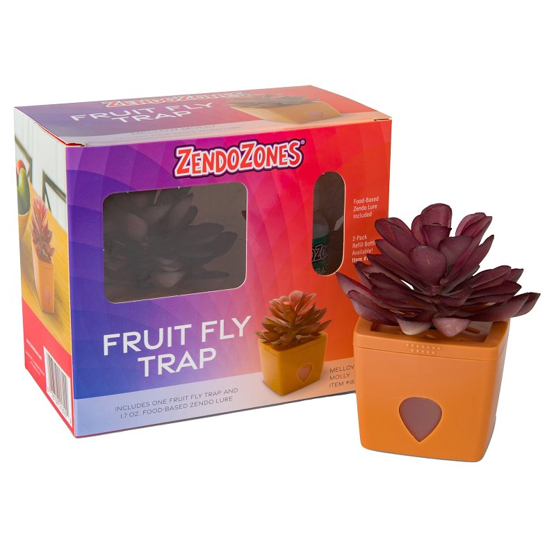 FRUIT FLY TRAP TERRACOTTA BASE
