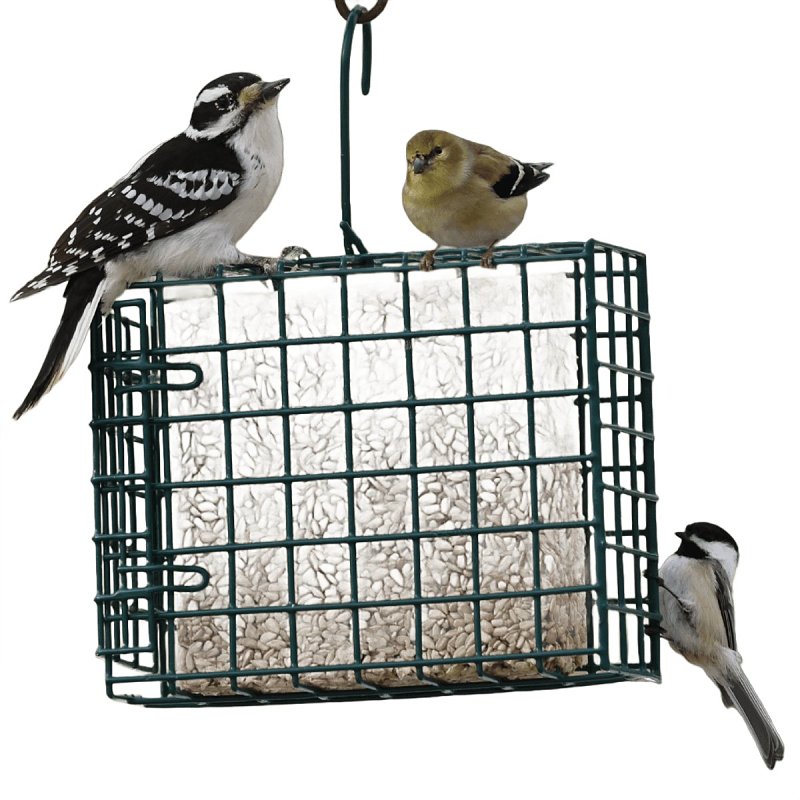 Audubon Park 11236 Seed Cake Basket Feeder